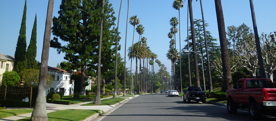 Une rue résidentielle de Los Angeles bordée de hauts palmiers
